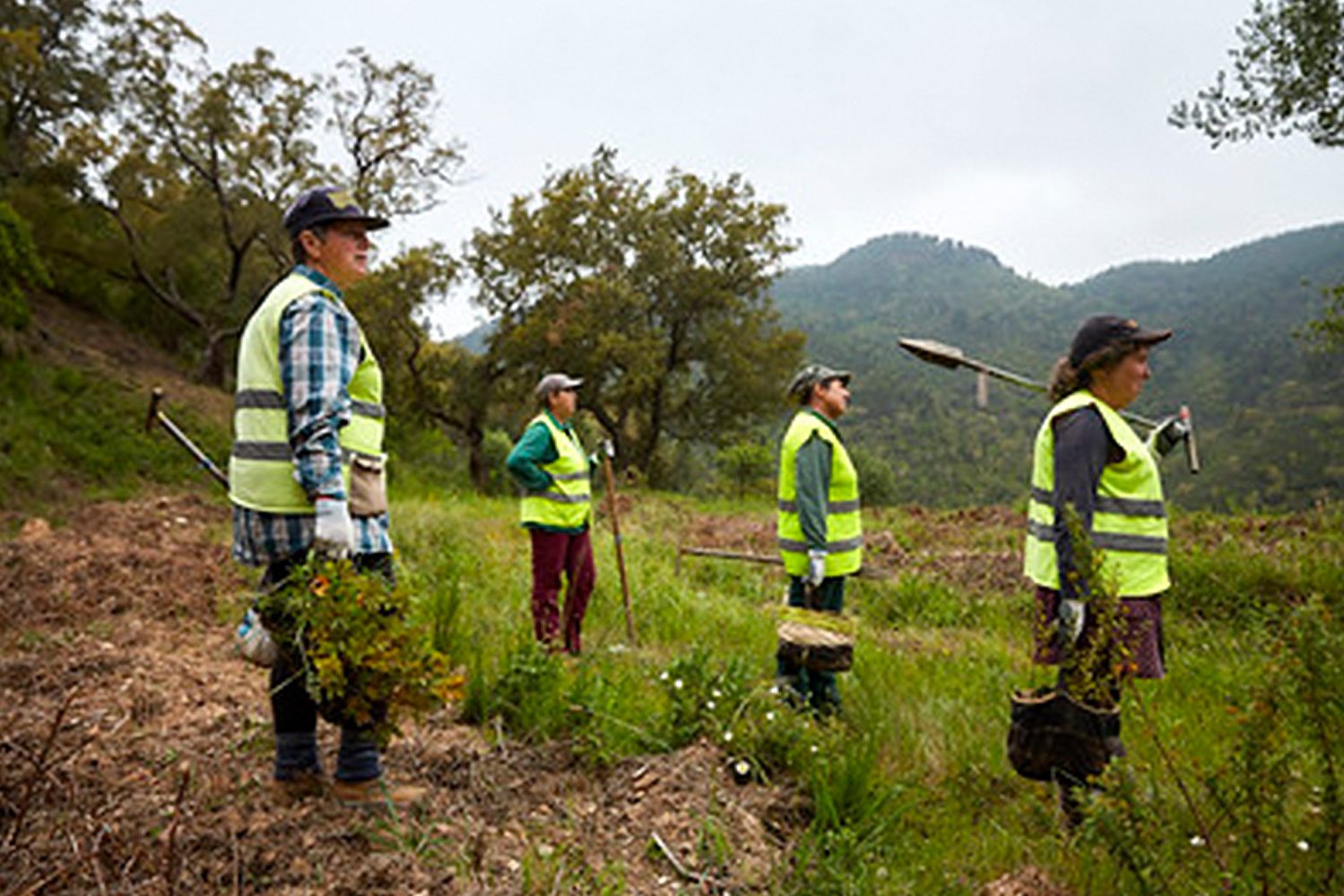 Interior_3_novas_florestacoes