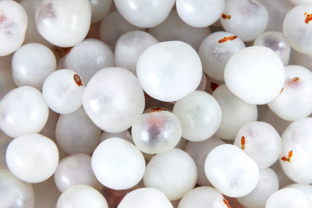 Interior_4_Conhecer_Camarinha