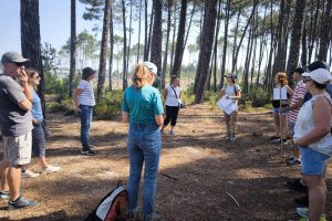 Camarinha Project: travar as invasoras que ameaçam habitats Camarinha Project: travar as invasoras que ameaçam habitats