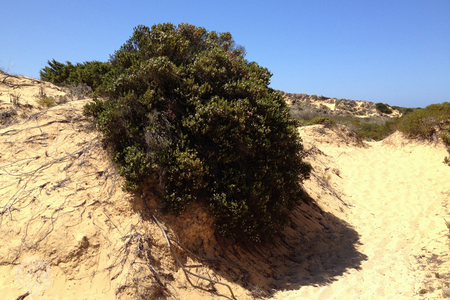 Interior_5_Conhecer_Camarinha