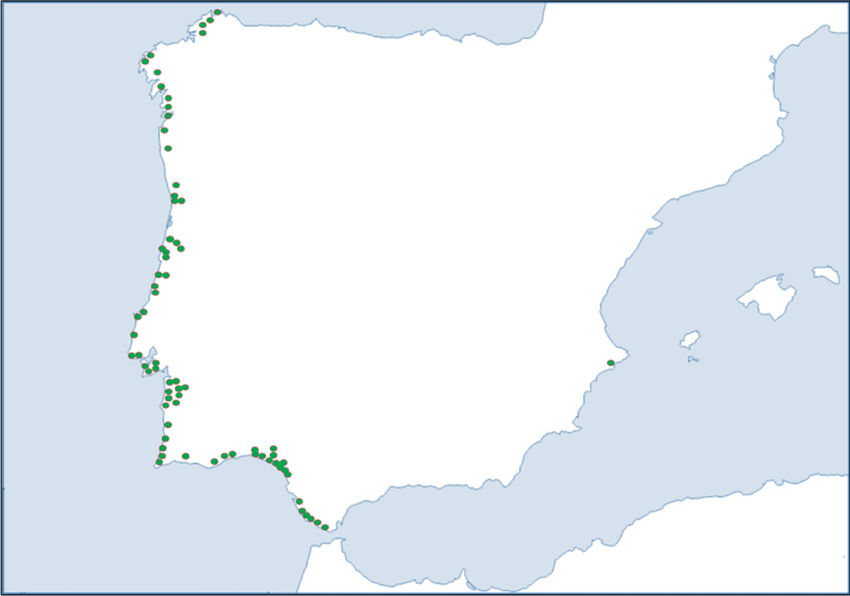 mapa-corema_Conhecer_Camarinha