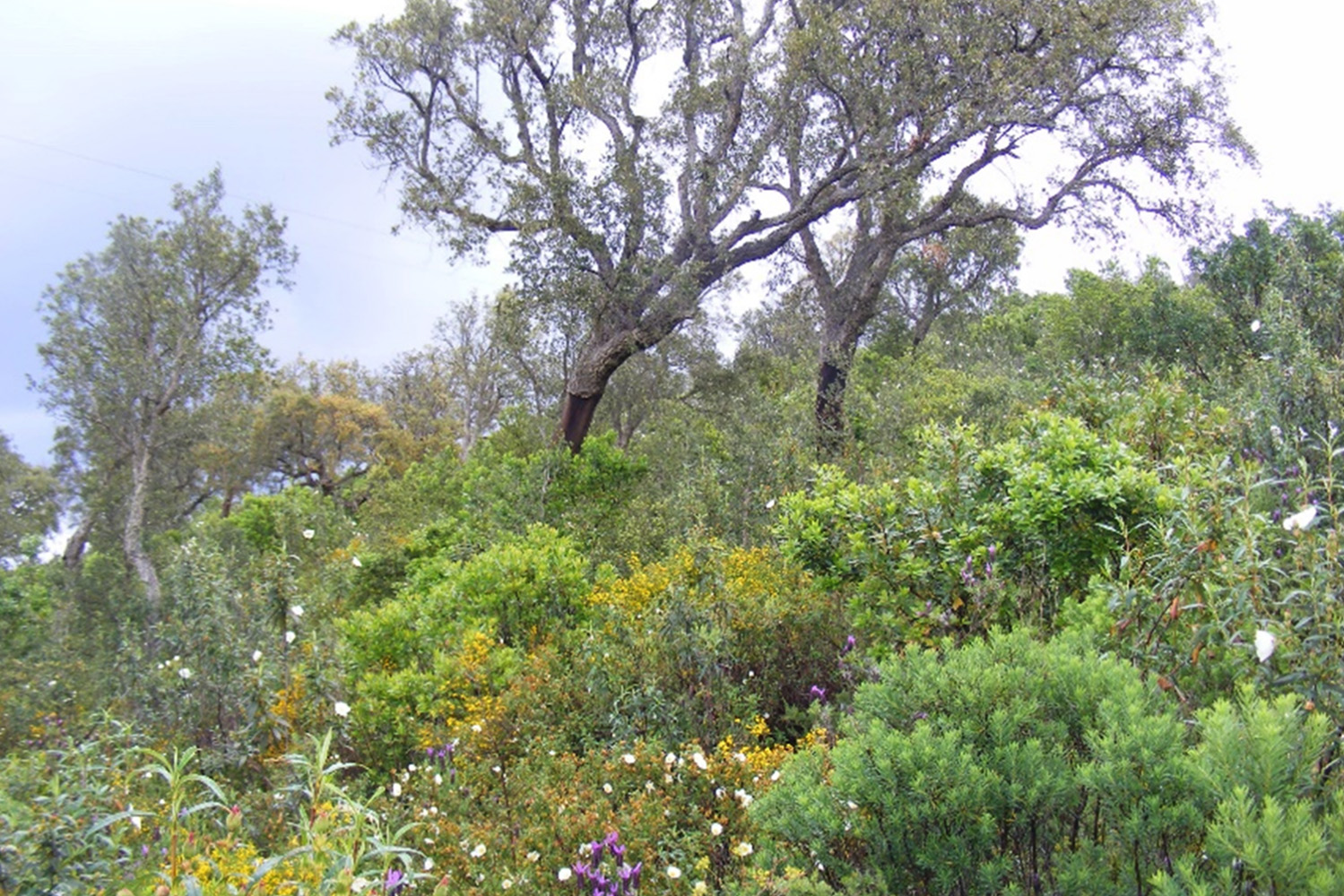 Interior_1_um seguro para o funcionamento dos ecossistemas