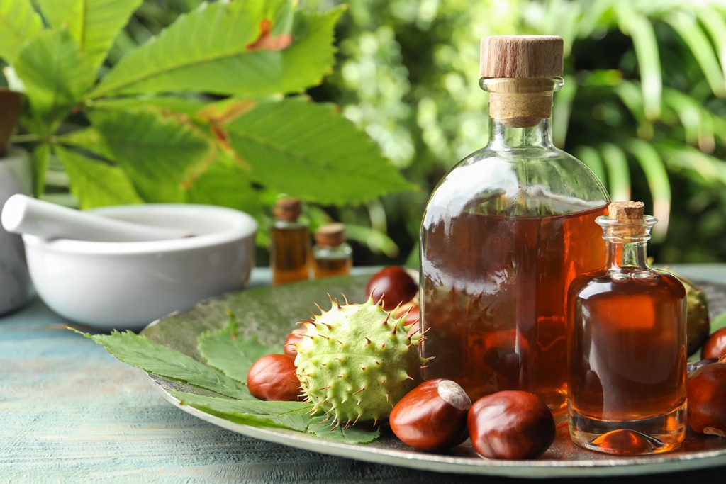 Propriedades medicinais e riscos do castanheiro-da-índia Propriedades medicinais e riscos do castanheiro-da-índia