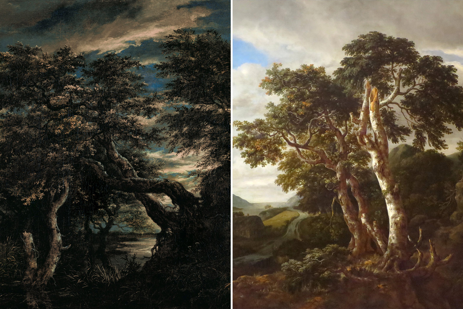 Interior_3_arvores_pintura_europeia