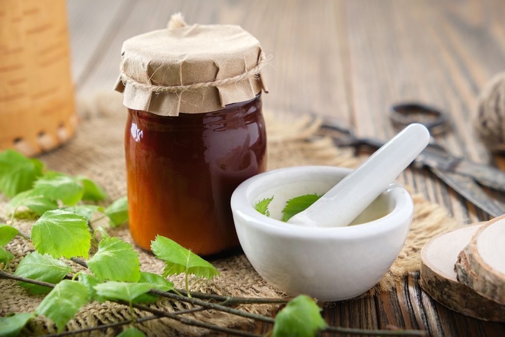 Benefícios e riscos da bétula Benefícios e riscos da bétula