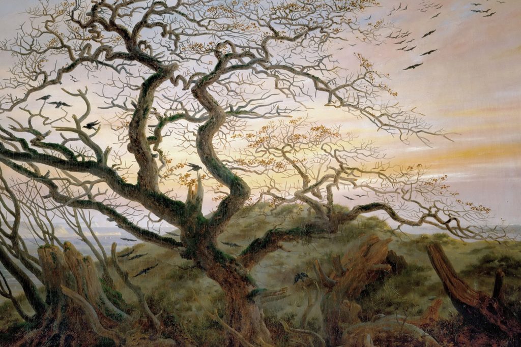 Interior_6_arvores_pintura_europeia