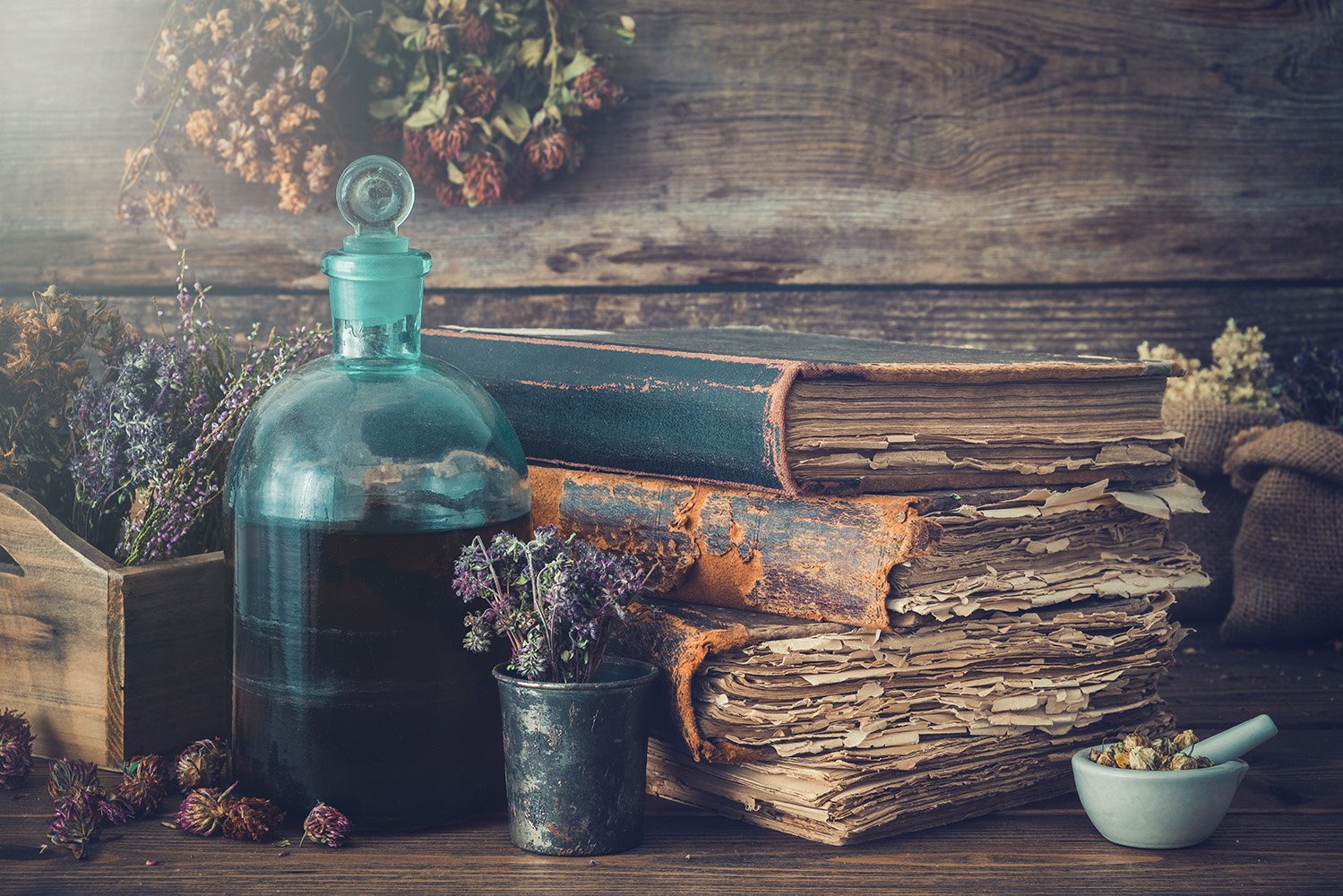 Conhecimento das propriedades medicinais das plantas foi inicialmente empírico Conhecimento das propriedades medicinais das plantas foi inicialmente empírico