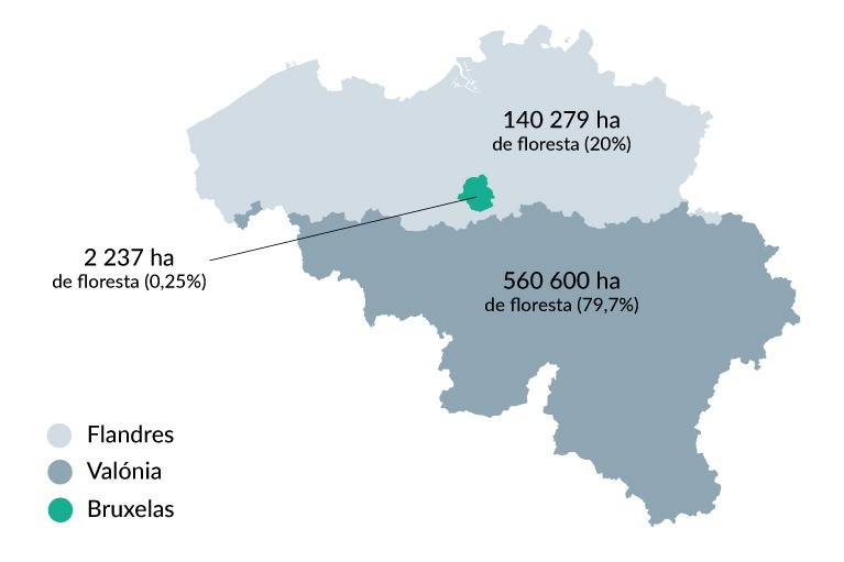 mapa: área de floresta nas 3 regiões da Bélgica