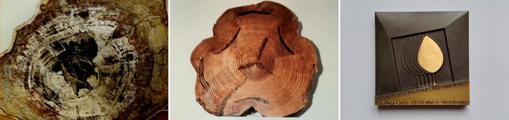 Exposição José Neiva Vieira, um colecionador de florestas