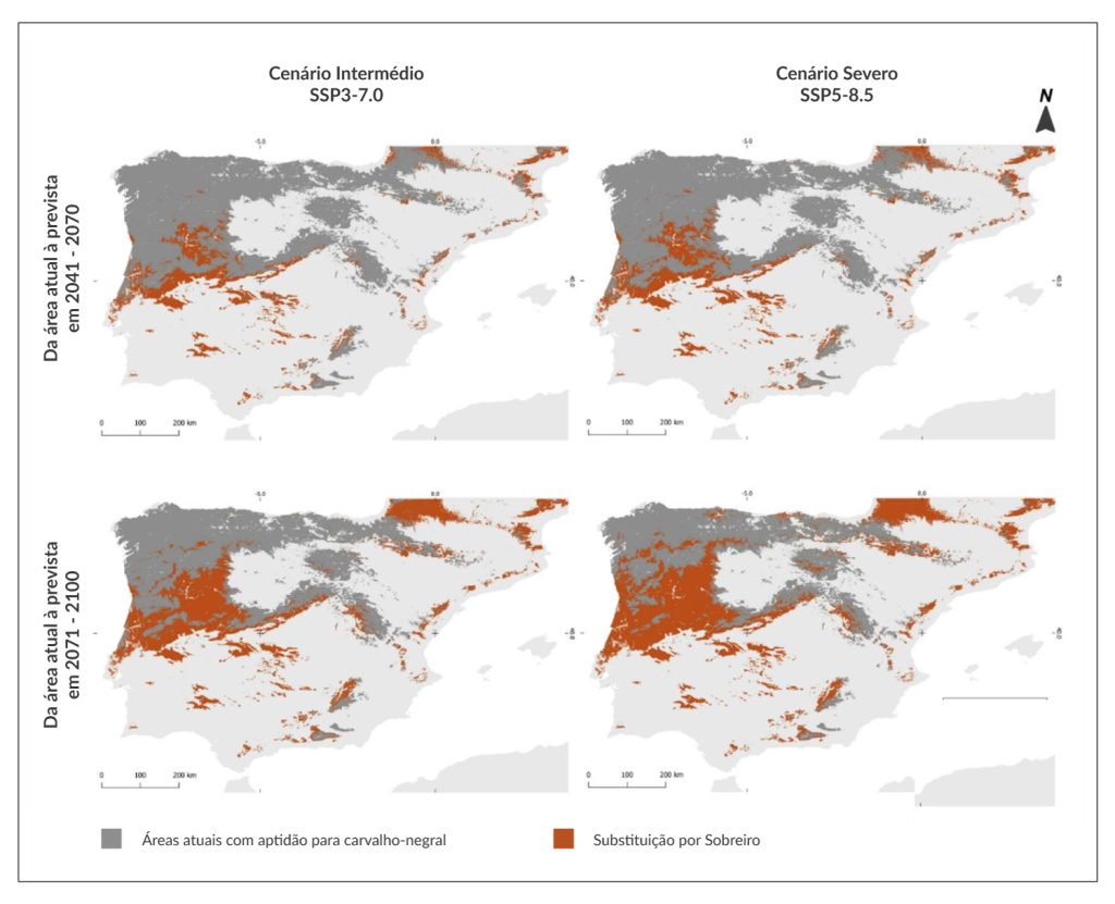Alterações climáticas mudam dinâmica dos carvalhos ibéricos