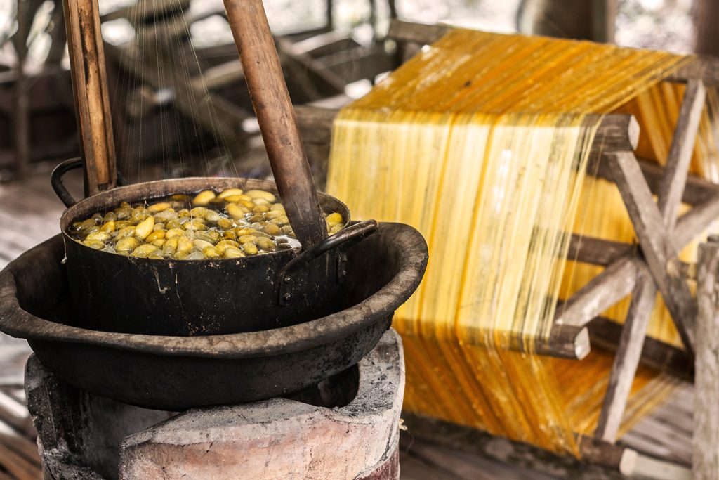 Amoras e seda: as principais fontes de valorização da amoreira