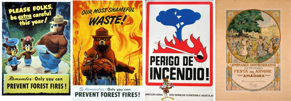 Exposição José Neiva Vieira, um colecionador de florestas