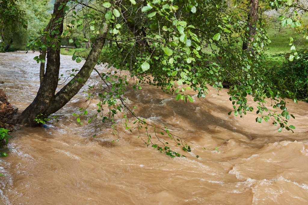 Alterações climáticas intensificam desafios da floresta