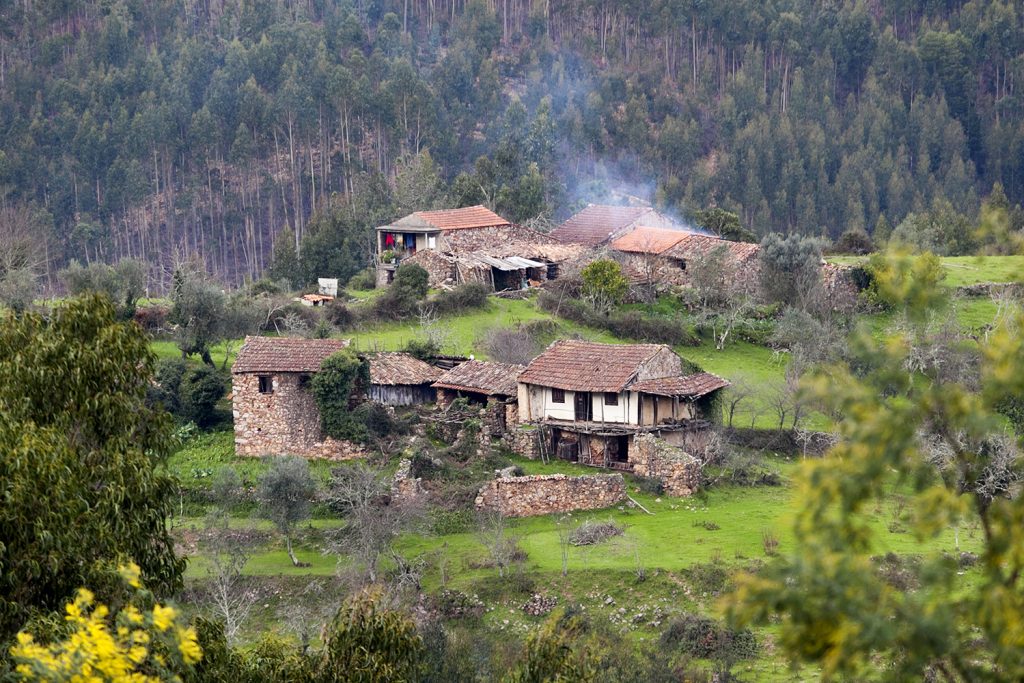 Abandono rural é um dos desafios da floresta portuguesa