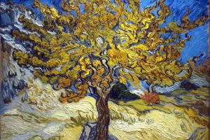 A amoreira de Van Gogh