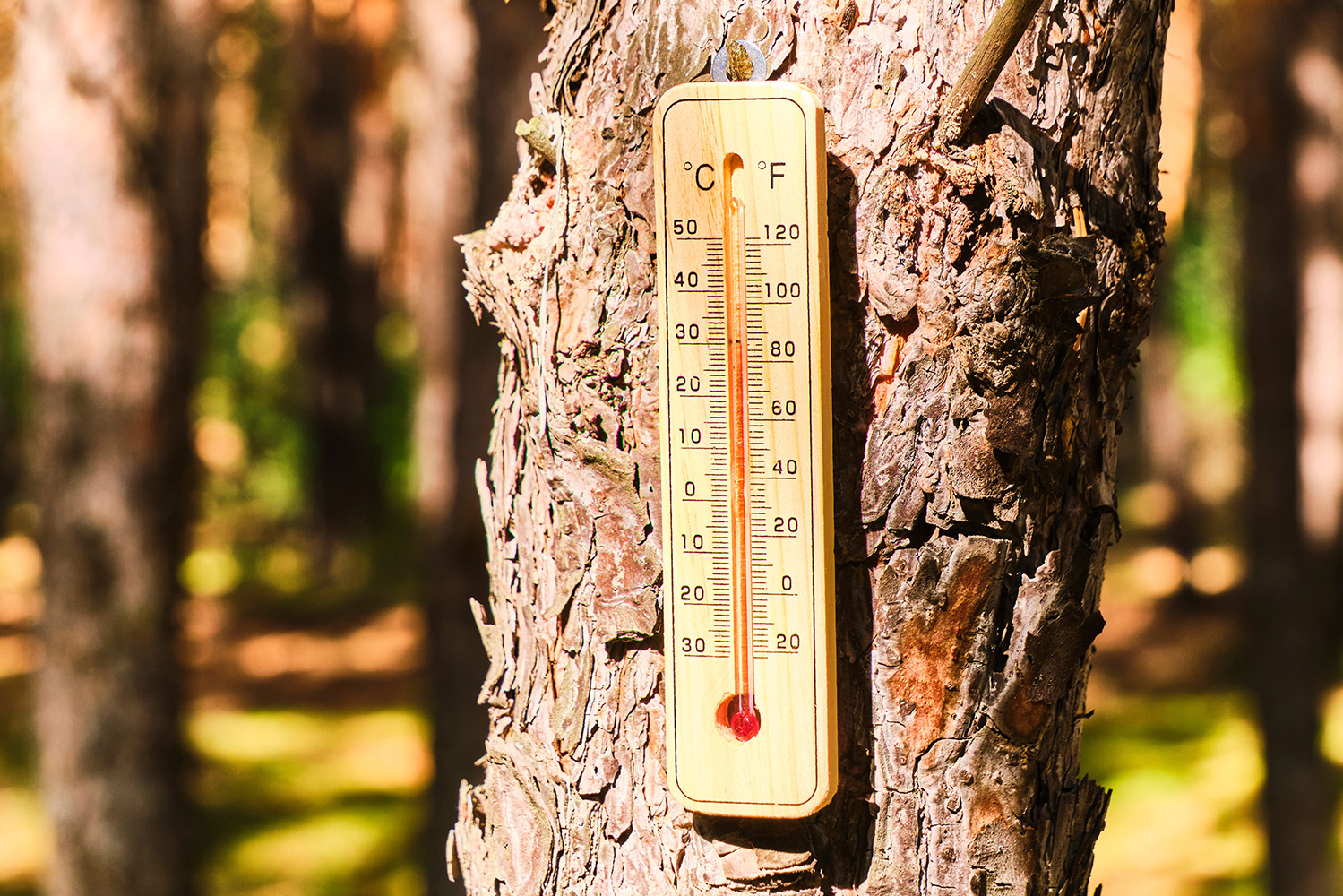 Alterações climáticas em Portugal: 2022, 2023, 2024 e 2025 foram 4 dos 5 anos mais quentes de sempre