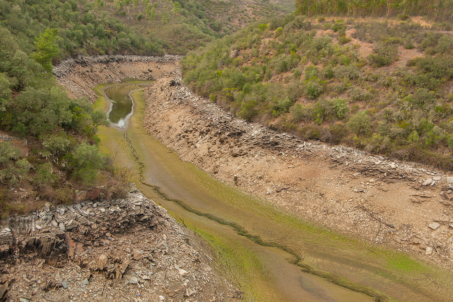 Seca mais frequente: uma das pressões das alterações climáticas em Portugal