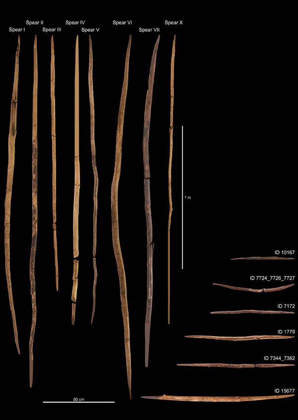 Lanças e bastões de madeira, com cerca de 300 mil anos