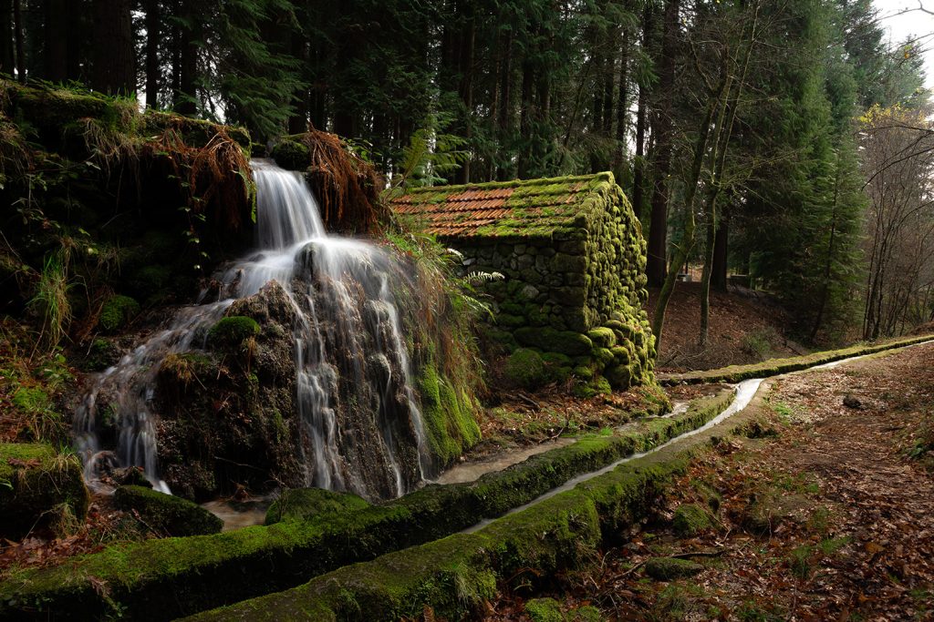 Levadas do norte de Portugal: ao som da água, à sombra do arvoredo Levadas do norte de Portugal: ao som da água, à sombra do arvoredo