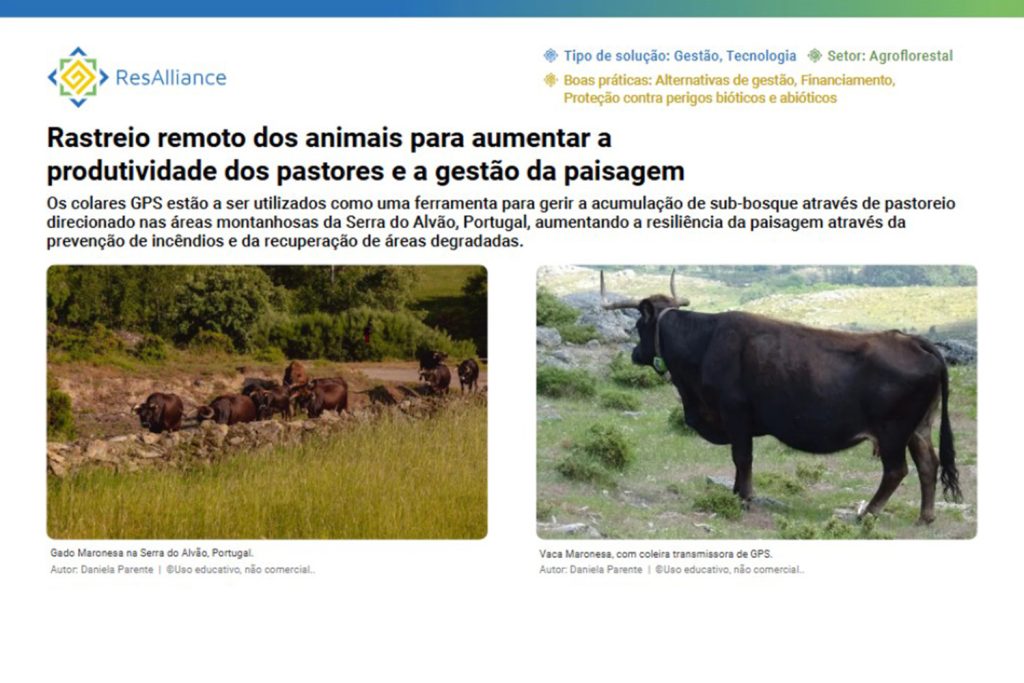 ResAlliance: soluções para uma paisagem mediterrânica mais resiliente