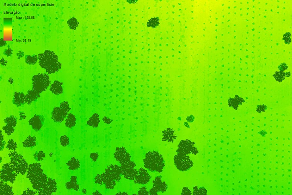Exemplo de modelo digital de superfície obtido por LiDAR Exemplo de modelo digital de superfície obtido por LiDAR