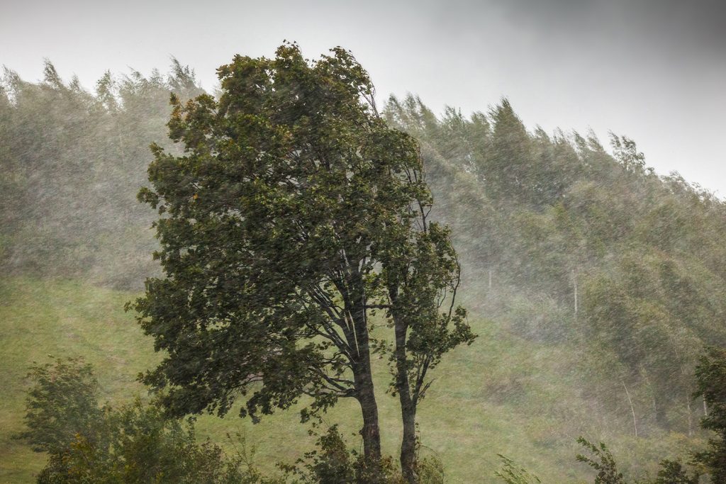 Chuvas extremas também decorrem do aumento da temperatura