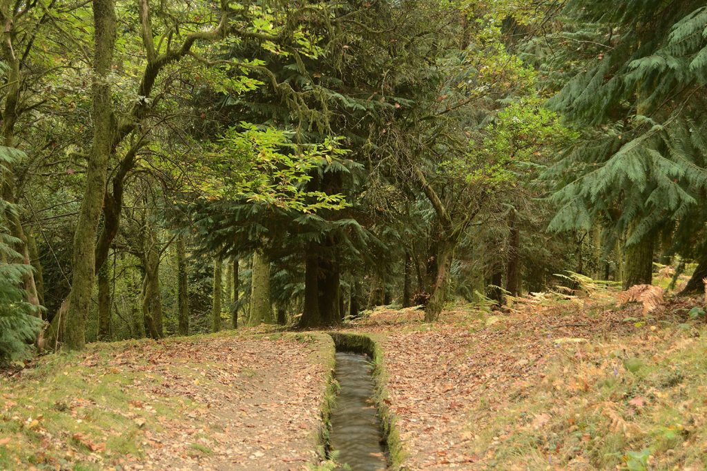 Levada da Víbora – Moinhos do Rei, em Cabeceiras de Basto Levada da Víbora – Moinhos do Rei, em Cabeceiras de Basto