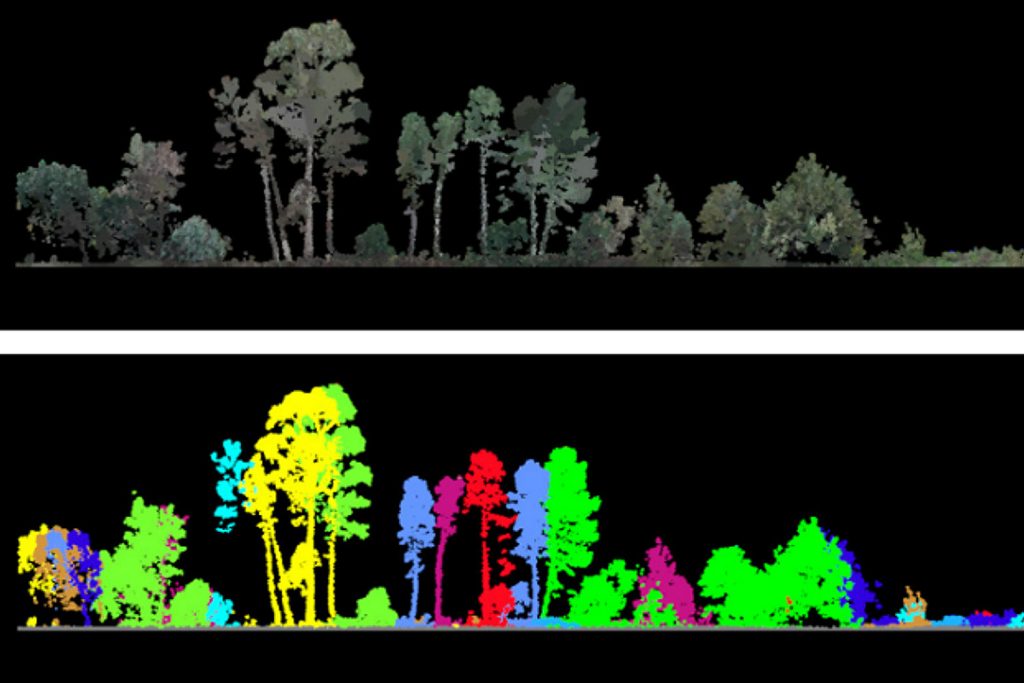 “A tecnologia LiDAR altera radicalmente a forma como vemos a floresta. Ao contrário de outras metodologias convencionais, como o inventário florestal por amostragem ou a fotogrametria por imagem, o sensor LiDAR aéreo emite um feixe laser que penetra nos espaços entre a folhagem e atinge o solo. O feixe é depois devolvido ao sensor, que regista a distância dos objetos. São estas medições que permitem mapear a estrutura do coberto florestal ou arbustivo e obter uma imagem detalhada e completa da sua arquitetura”, explica o especialista. “A tecnologia LiDAR altera radicalmente a forma como vemos a floresta. Ao contrário de outras metodologias convencionais, como o inventário florestal por amostragem ou a fotogrametria por imagem, o sensor LiDAR aéreo emite um feixe laser que penetra nos espaços entre a folhagem e atinge o solo. O feixe é depois devolvido ao sensor, que regista a distância dos objetos. São estas medições que permitem mapear a estrutura do coberto florestal ou arbustivo e obter uma imagem detalhada e completa da sua arquitetura”, explica o especialista.