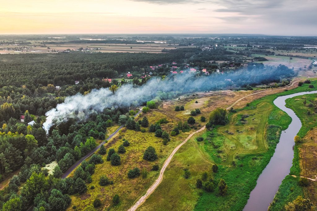 Greenpeace analisa 80 anos de incêndios em Portugal e apela à mudança Greenpeace analisa 80 anos de incêndios em Portugal e apela à mudança