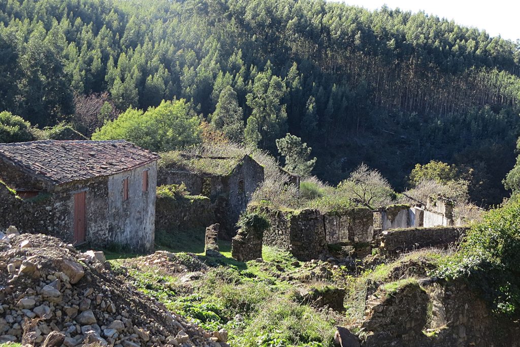 Greenpeace analisa 80 anos de incêndios em Portugal e apela à mudança Greenpeace analisa 80 anos de incêndios em Portugal e apela à mudança