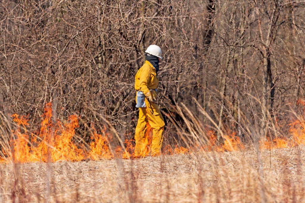 Greenpeace analisa 80 anos de incêndios em Portugal e apela à mudança Greenpeace analisa 80 anos de incêndios em Portugal e apela à mudança