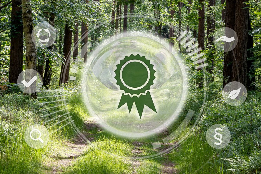 RED III: novas regras para a biomassa na produção de energia