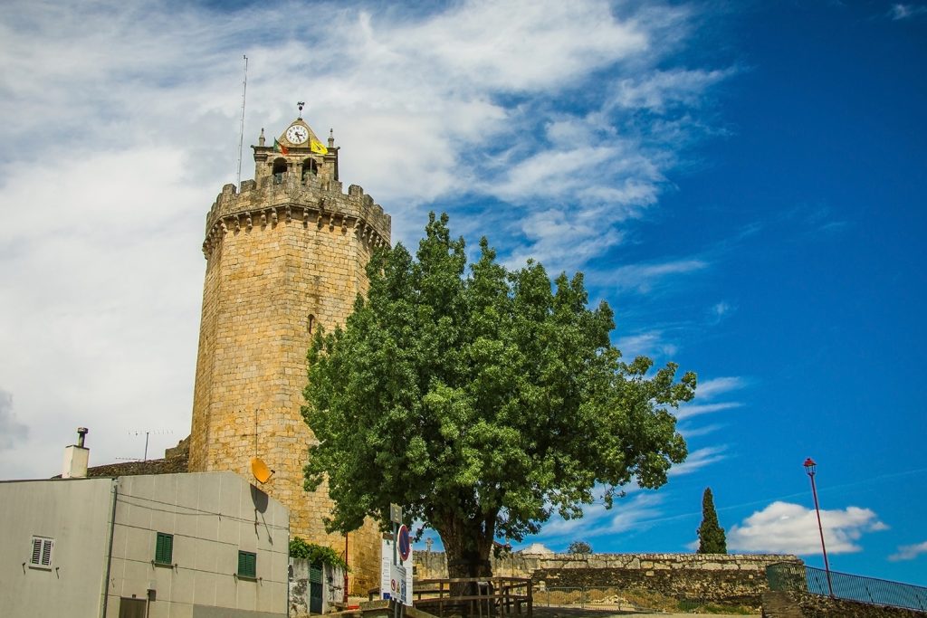 Lendas das árvores: o que conta a tradição portuguesa?