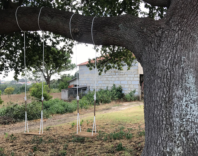 Uma sala de estudo na Natureza, rica em Vitamina N