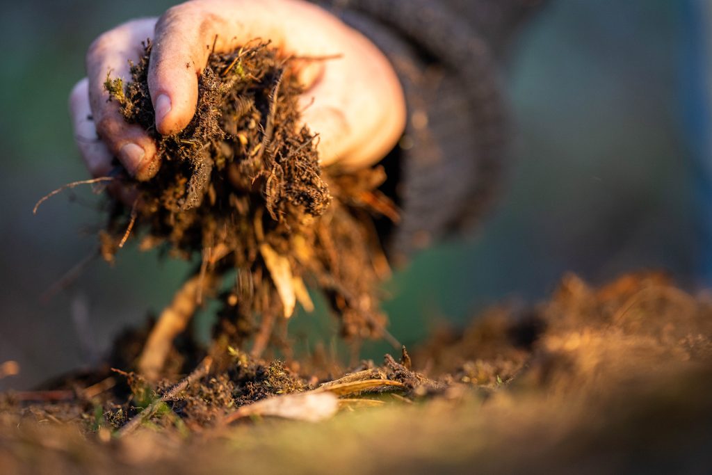 O solo como a base da agricultura regenerativa O solo como a base da agricultura regenerativa